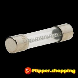 10 Fusibles 0.50A 6x32...