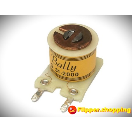 Bobine Bally G 31-2000