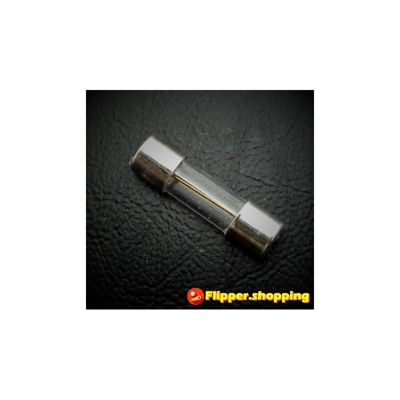 10 Fusibles 5A Standard 5x20